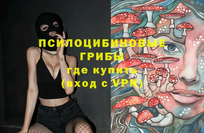 Псилоцибиновые грибы MAGIC MUSHROOMS  KRAKEN как зайти  Малгобек 